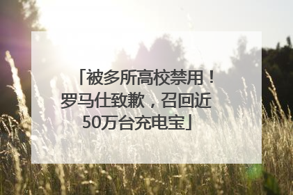 被多所高校禁用！罗马仕致歉，召回近50万台充电宝