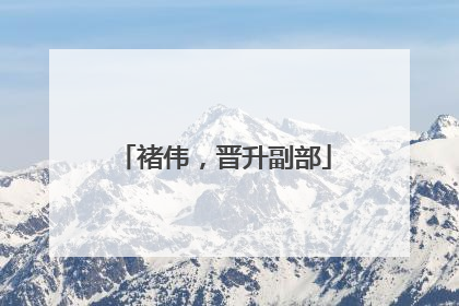 褚伟，晋升副部