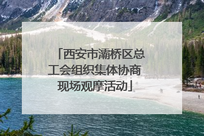 西安市灞桥区总工会组织集体协商现场观摩活动