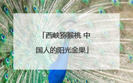 西峡猕猴桃 中国人的阳光金果