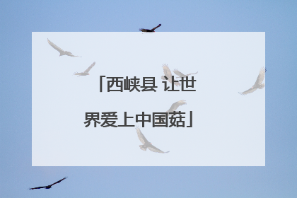 西峡县 让世界爱上中国菇