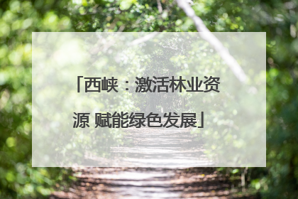 西峡：激活林业资源 赋能绿色发展