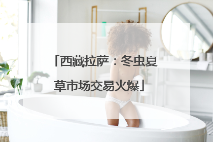 西藏拉萨：冬虫夏草市场交易火爆