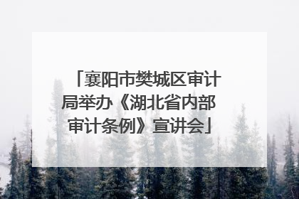 襄阳市樊城区审计局举办《湖北省内部审计条例》宣讲会