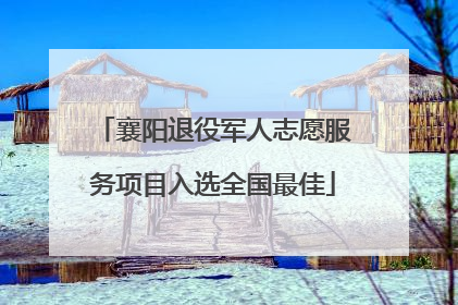 襄阳退役军人志愿服务项目入选全国最佳