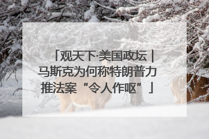 观天下·美国政坛｜马斯克为何称特朗普力推法案“令人作呕”