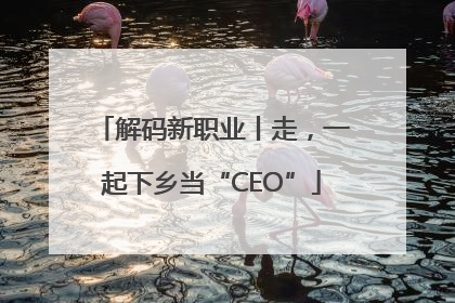 解码新职业丨走，一起下乡当“CEO”