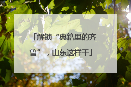 解锁“典籍里的齐鲁”，山东这样干