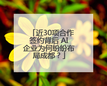 近30项合作签约背后 AI企业为何纷纷布局成都？