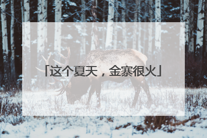 这个夏天，金寨很火
