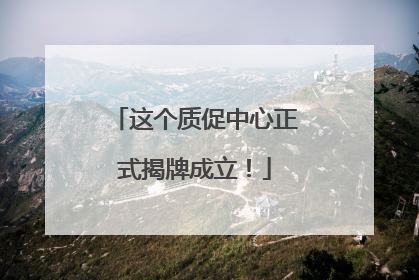 这个质促中心正式揭牌成立！