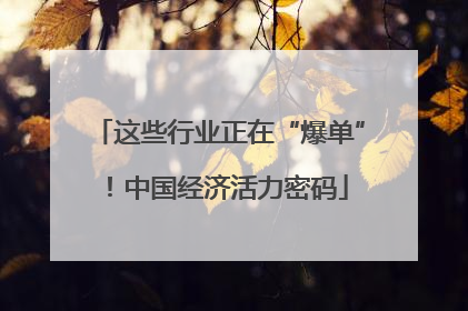 这些行业正在“爆单”！中国经济活力密码