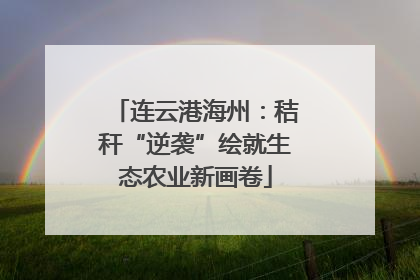 连云港海州：秸秆“逆袭”绘就生态农业新画卷