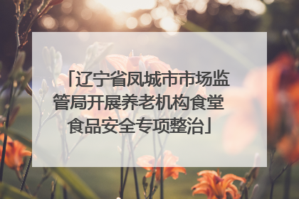 辽宁省凤城市市场监管局开展养老机构食堂食品安全专项整治