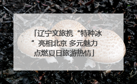 辽宁文旅携“特种冰”亮相北京 多元魅力点燃夏日旅游热情