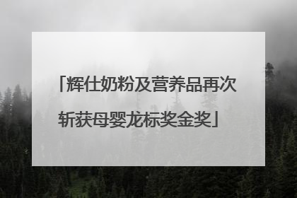 辉仕奶粉及营养品再次斩获母婴龙标奖金奖
