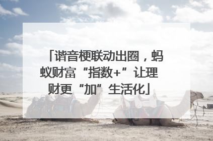 谐音梗联动出圈，蚂蚁财富“指数+”让理财更“加”生活化