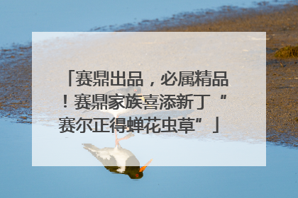 赛鼎出品，必属精品！赛鼎家族喜添新丁“赛尔正得蝉花虫草”