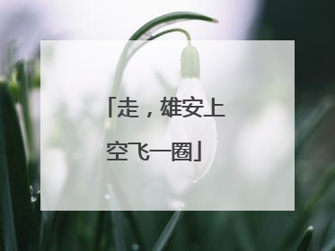 走，雄安上空飞一圈