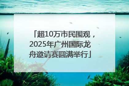超10万市民围观，2025年广州国际龙舟邀请赛圆满举行