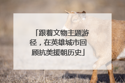 跟着文物主题游径，在英雄城市回顾抗美援朝历史