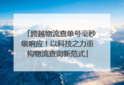 跨越物流查单号毫秒级响应！以科技之力重构物流查询新范式