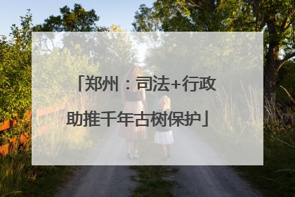 郑州：司法+行政助推千年古树保护