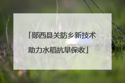 郧西县关防乡新技术助力水稻抗旱保收