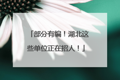 部分有编！湖北这些单位正在招人！