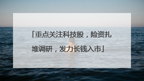 重点关注科技股，险资扎堆调研，发力长钱入市