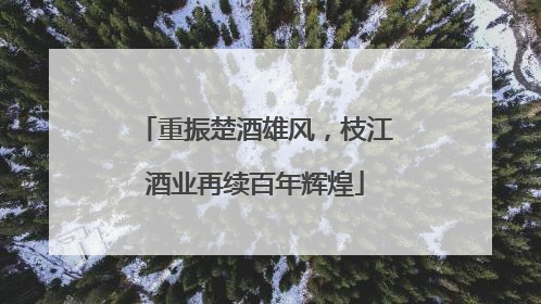 重振楚酒雄风，枝江酒业再续百年辉煌