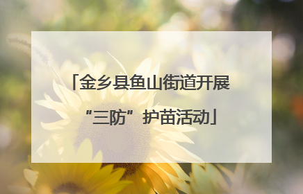 金乡县鱼山街道开展“三防”护苗活动
