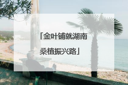 金叶铺就湖南桑植振兴路