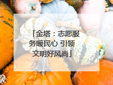 金塔：志愿服务暖民心 引领文明好风尚