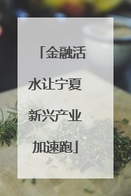 金融活水让宁夏新兴产业加速跑