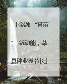 金融 “育苗” 新动能，莘县种业拔节长