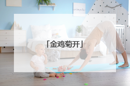 金鸡菊开