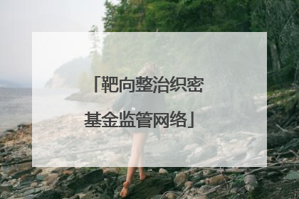 靶向整治织密基金监管网络