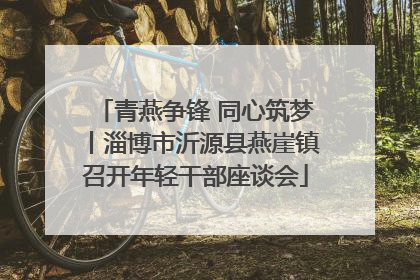 青燕争锋 同心筑梦丨淄博市沂源县燕崖镇召开年轻干部座谈会
