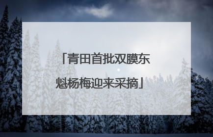 青田首批双膜东魁杨梅迎来采摘