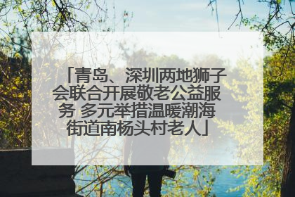 青岛、深圳两地狮子会联合开展敬老公益服务 多元举措温暖潮海街道南杨头村老人