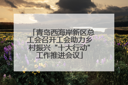 青岛西海岸新区总工会召开工会助力乡村振兴“十大行动”工作推进会议