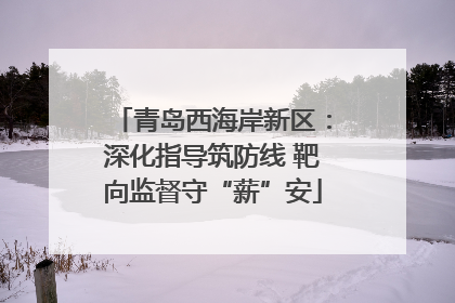 青岛西海岸新区：深化指导筑防线 靶向监督守“薪”安