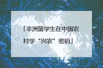 非洲留学生在中国农村学“兴农”密码