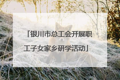 银川市总工会开展职工子女家乡研学活动