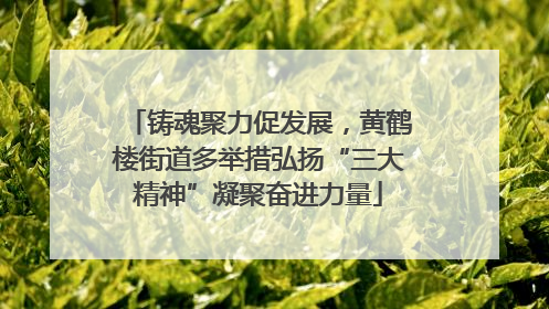 铸魂聚力促发展，黄鹤楼街道多举措弘扬“三大精神”凝聚奋进力量