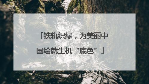 铁轨织绿，为美丽中国绘就生机“底色”