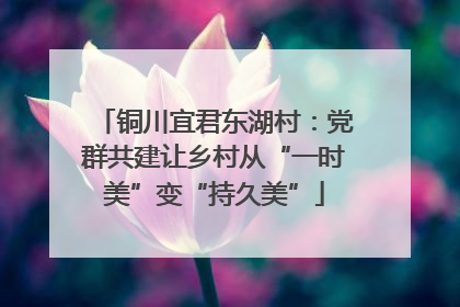 铜川宜君东湖村：党群共建让乡村从“一时美”变“持久美”