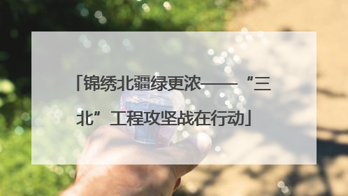锦绣北疆绿更浓——“三北”工程攻坚战在行动