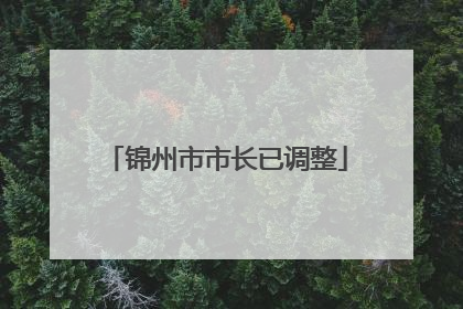 锦州市市长已调整